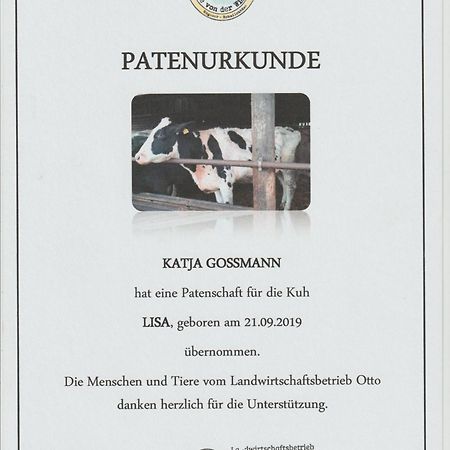 Altes Waschhaus Krakvitz Daire Putbus Dış mekan fotoğraf