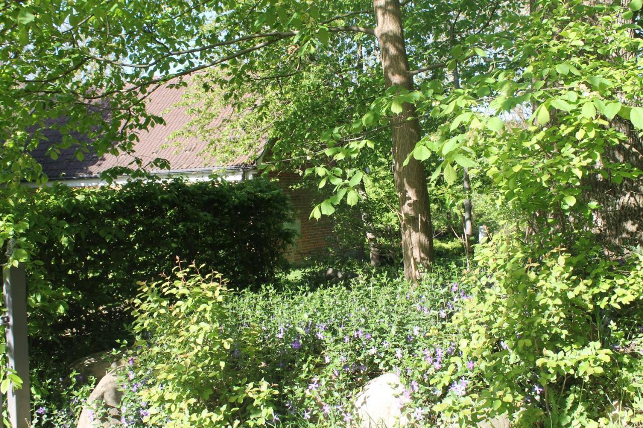 Altes Waschhaus Krakvitz Daire Putbus Dış mekan fotoğraf